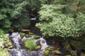 Small island caressed by the white waters of the river ulla, galicia