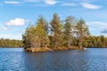 A small island covered with trees on a forest lake on a sunny windy day. Nature water landscape Royalty Free Stock Photo