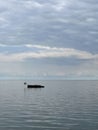 A small island on Lake Baikal with a lonely lopsided tree