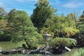 A small island in a lake with evergreens, shrubs and a Japanese stone lantern, at the Anderson Japanese Garden Royalty Free Stock Photo