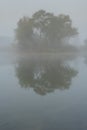 A small island in a lake with trees in thick fog