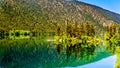 Small island in the middle of the crystal clear waters of Pavilion Lake in Marble Canyon Provincial Park, British Columbia Royalty Free Stock Photo