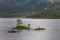 Small islands in the Norwegian fjords. selective focus