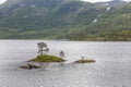 Small islands with pine trees growing on them in the Norwegian lake. selective focus