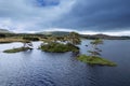 Small islands with trees in Connemara, Ireland. Irish landscape scene. Travel and tourism area. Aerial view. Blue cloudy sky