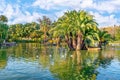 Small islet with palm trees in the middle of a lake with waterfowl