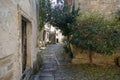 Small Istrian Street