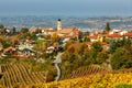 Small italian town among colorful autumnal trees and vineyards