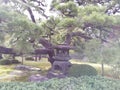 Small Japanese Garden in Kyoto