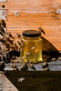 Small jar of honey in front of a bee hive with honey bees crawling on the jar