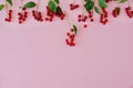 Small red berries in a row horizontally on a pastel pink background.