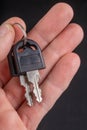 Small keys with a plastic handle kept in your fingers. Accessories for opening school lockers