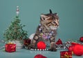Small kitten among Christmas stuff Royalty Free Stock Photo