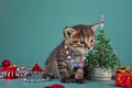 Small kitten among Christmas stuff Royalty Free Stock Photo