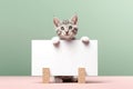 small kitten holding up a blank sign against a green background. domestic pets and creative marketing. very cute and inn Royalty Free Stock Photo