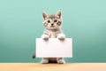 small kitten holding up a blank sign against a green background. domestic pets and creative marketing. very cute and inn Royalty Free Stock Photo