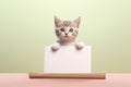 small kitten holding up a blank sign against a green background. domestic pets and creative marketing. very cute and inn Royalty Free Stock Photo