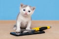 Small kitten near a broken phone and wrench. Mobile phone repair