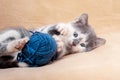 A small kitten plays with a ball of blue threads Royalty Free Stock Photo