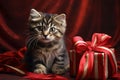 A small kitten with a red gift on a red background. Gifts as a day symbol of present and