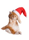Small kitten in a santa hat. Royalty Free Stock Photo