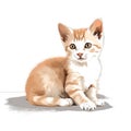 a small kitten sitting on the ground looking at the camera Royalty Free Stock Photo