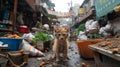 A small kitten standing in a dirty alley with fruit and vegetables, AI Royalty Free Stock Photo