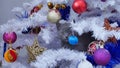 Small kitten up in a Christmas tree Royalty Free Stock Photo