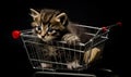 Small kitty sitting in the cart. Domestic baby cat in mini shopping busket. generative ai