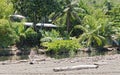 Small lagoon on the beach of Drake in the province of Puntarenas, Costa Rica