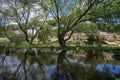 Small lake at the aqueduct park, Tuscolano, Rome, Italy Royalty Free Stock Photo