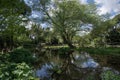 Small lake at the aqueduct park, Tuscolano, Rome, Italy Royalty Free Stock Photo