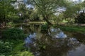 Small lake at the aqueduct park, Tuscolano, Rome, Italy Royalty Free Stock Photo