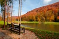 Small lake in autumn park Royalty Free Stock Photo
