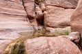 Small lake in the bed of a shallow stream on the Wadi Numeira hiking trail in Jordan