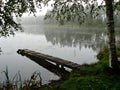 A small lake with a boardwalk and a birch tree. In the background is a forest with a reflection in the water. Royalty Free Stock Photo