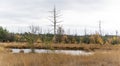 Small Lake in Drenthe Netherlands Royalty Free Stock Photo