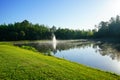 Small lake and morning fog Royalty Free Stock Photo