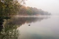 Small lake on a foggy autumn morning Royalty Free Stock Photo