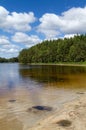 Small lake in the forest