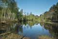 Small lake in the forest - Otwock, Poland. Royalty Free Stock Photo