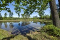 Small lake in the forest, Southern Poland Royalty Free Stock Photo