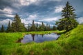 Small lake on the green forest glade at rainy day Royalty Free Stock Photo