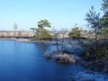 Beautiful small lake, trees and plants in Aukstumalos swamp, Lithuania Royalty Free Stock Photo