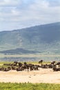 A small lake inside the crater. NgoroNgoro, Tanzania. Africa Royalty Free Stock Photo