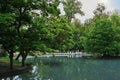 Small lake in Khetagurov Park in Vladikavkaz city