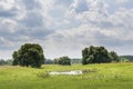 Small lake located near by trees under cloudy sky Royalty Free Stock Photo