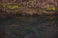 A small lake in the middle of the beech forest in the autumn season. Reflections in clear water at the end of the day Royalty Free Stock Photo