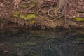 A small lake in the middle of the beech forest in the autumn season. Reflections in clear water at the end of the day Royalty Free Stock Photo