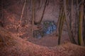 A small lake in the middle of the beech forest in the autumn season. Reflections in clear water at the end of the day Royalty Free Stock Photo